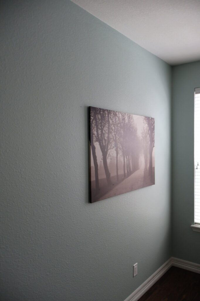 Freshly painted sage green interior wall